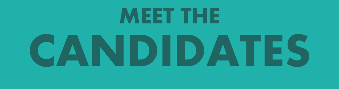 MyCardiffNorthGE17candidates2